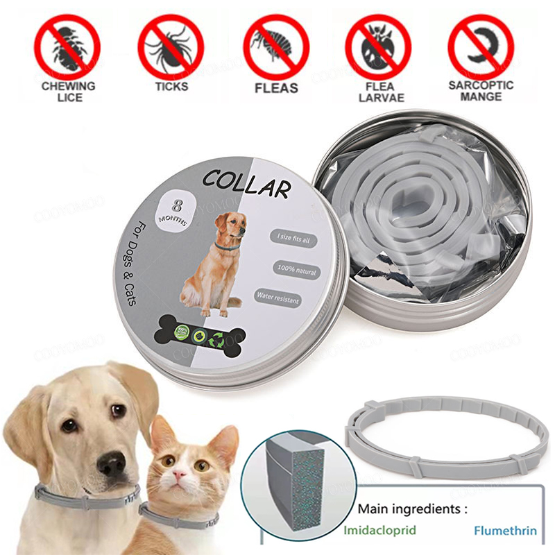 Pet Immune Pir Sensor - Köpek Anti pire ve kene yaka,