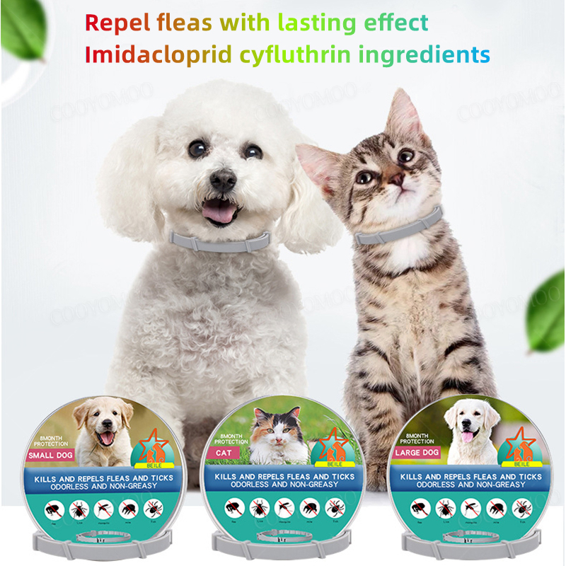 Köpek Anti pire ve kene yaka,  - Pet Immune Pir Sensor incelemesi ve fiyatı