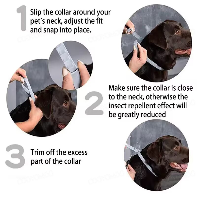 Köpek Anti pire ve kene yaka,  - Pet Immune Pir Sensor incelemesi ve fiyatı