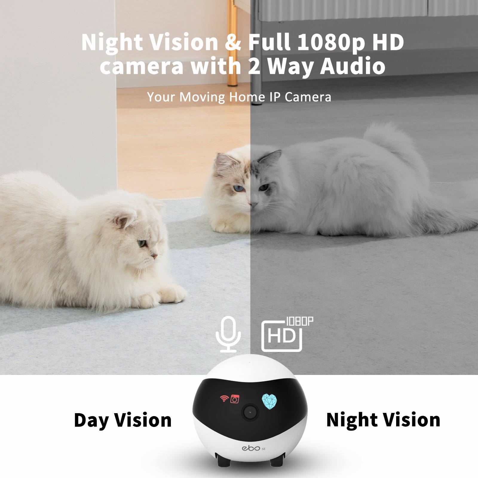 EBO SE Akıllı Ev Robotu Yardım - Home Security Robot incelemesi ve fiyatı