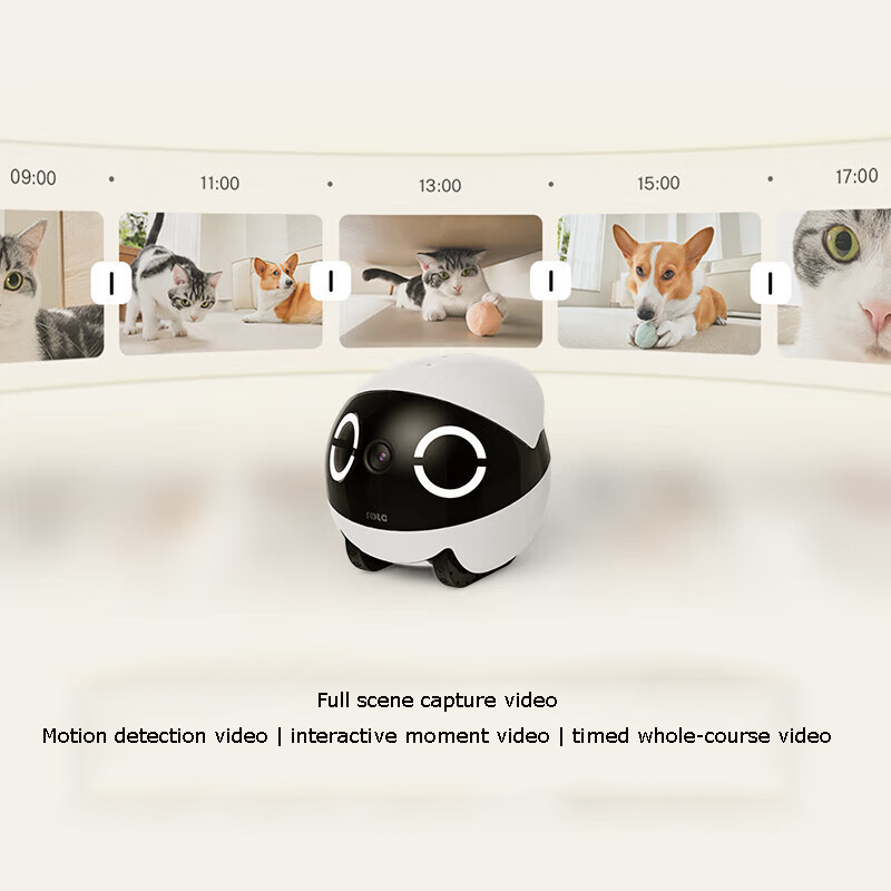 Ev Güvenliği Evcil Hayvan Oyun - Home Security Robot incelemesi ve fiyatı